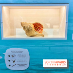 Préhistoire, entre utopie et réalité  - IMG 5624