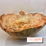 Préhistoire, entre utopie et réalité  - IMG 5627