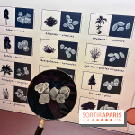 Préhistoire, entre utopie et réalité  - IMG 5646