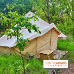 Bivouac avec les loups