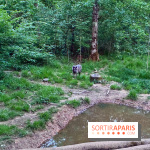 Bivouac avec les loups