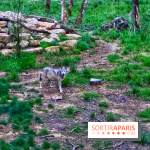 Bivouac avec les loups