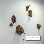 Lélia Demoisy au Domaine de Chamarande : une exposition autour des récits de forêts