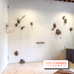Lélia Demoisy au Domaine de Chamarande : une exposition autour des récits de forêts