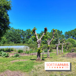 Ruche - Domaine Les Bruyères