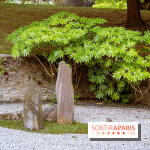Le domaine du Chateau de la Celle SainCloud dans les Yvelines - photos