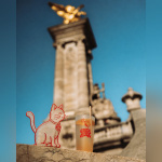 Chez Alex : terrasse d’apéro au bord de Seine face à la Tour Eiffel - PHOTO 18 08 54