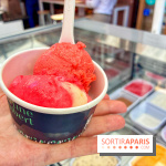 Glaces Martine Lambert