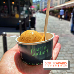 Glaces Martine Lambert
