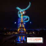 Le feux d'artifice de Paris 2026, les photos du spectacle