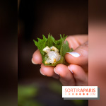 Mégie, la cantine botanique, boutique et atelier floral - photos