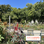 Square Léon Serpollet, le joli parc caché dans le 18e arrondissement