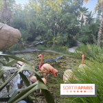 Zone tropicale du Parc Spirou Provence