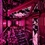 REVO PartyBox à Bastille : karaoké immersif et salons privatifs à Paris - db2a3690991e0bdcf813b9e44e44e804