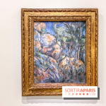Exposition Cezanne et nous au Grand Palais