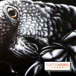 Festival de street art d'Antony 2026, nos photos