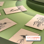 Gustave Fayet à la Fondation Louis Vuitton : Van Gogh, Gauguin et Redon dans une exposition événement