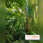 Automne tropical 2026