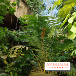 Automne tropical 2026