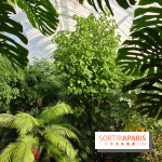 Automne tropical 2026