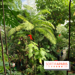 Automne tropical 2026