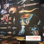 Plongez à la découverte de Planète Océan, l’exposition immersive de l’Atelier des Lumières