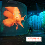 Plongez à la découverte de Planète Océan, l’exposition immersive de l’Atelier des Lumières