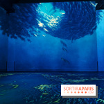 Plongez à la découverte de Planète Océan, l’exposition immersive de l’Atelier des Lumières