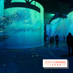 Plongez à la découverte de Planète Océan, l’exposition immersive de l’Atelier des Lumières