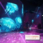 Plongez à la découverte de Planète Océan, l’exposition immersive de l’Atelier des Lumières