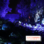 Parc de l'Étrange 2026 : Jardin nocturne sous éclairage violet et bleu