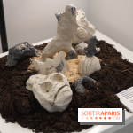 Aux frontières de l'imaginaire : Paysage minéral imaginaire en argile