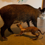Jeune Création au Centquatre