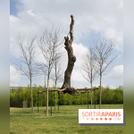 Penone au Château de Versailles, Elevazione | Élévation, 2011