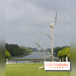 Penone au Château de Versailles, Triplice | Triple