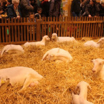 salon de l'agriculture