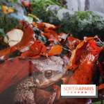 Exposition Planète Grenouille par Cyril Ruoso au Jardin des Plantes