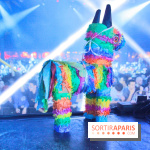 Festival Astropolis 2013