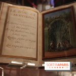 Le labyrinthe de Versailles : Manuscrit et gravures de Sébastien Leclerc, enluminées par Jacques Bailly