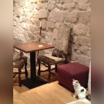 Le Café des Chats à Paris