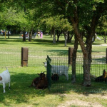 parc hérouval, gisors, parc d'attractions