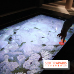 Mille milliards de fourmis au Palais de la Découverte