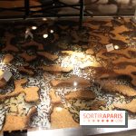 Mille milliards de fourmis au Palais de la Découverte