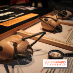 Mille milliards de fourmis au Palais de la Découverte