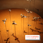 Mille milliards de fourmis au Palais de la Découverte