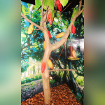 Le Musée Gourmand du Chocolat, Choco-Story, Musée