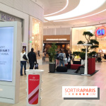 Aeroville, le centre commercial de Roissy - Tremblay en France