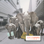 Chine La Belle – Samantha's P on P Art World au Carrousel du Louvre