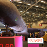 Salon du chocolat 2013: Avion en chocolat