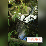 Noces Végétale au Jardin des Plantes : ilots